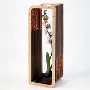 To Be - Cardboard vases, design by Giorgio Caporaso for Lessmore