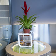 Arredi in cartone per una farmacia. Design Giorgio Caporaso per Lessmore